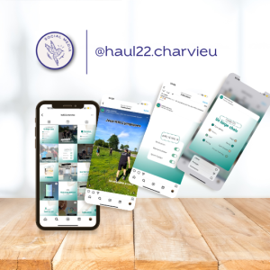 coaching réseaux sociaux salle de sport